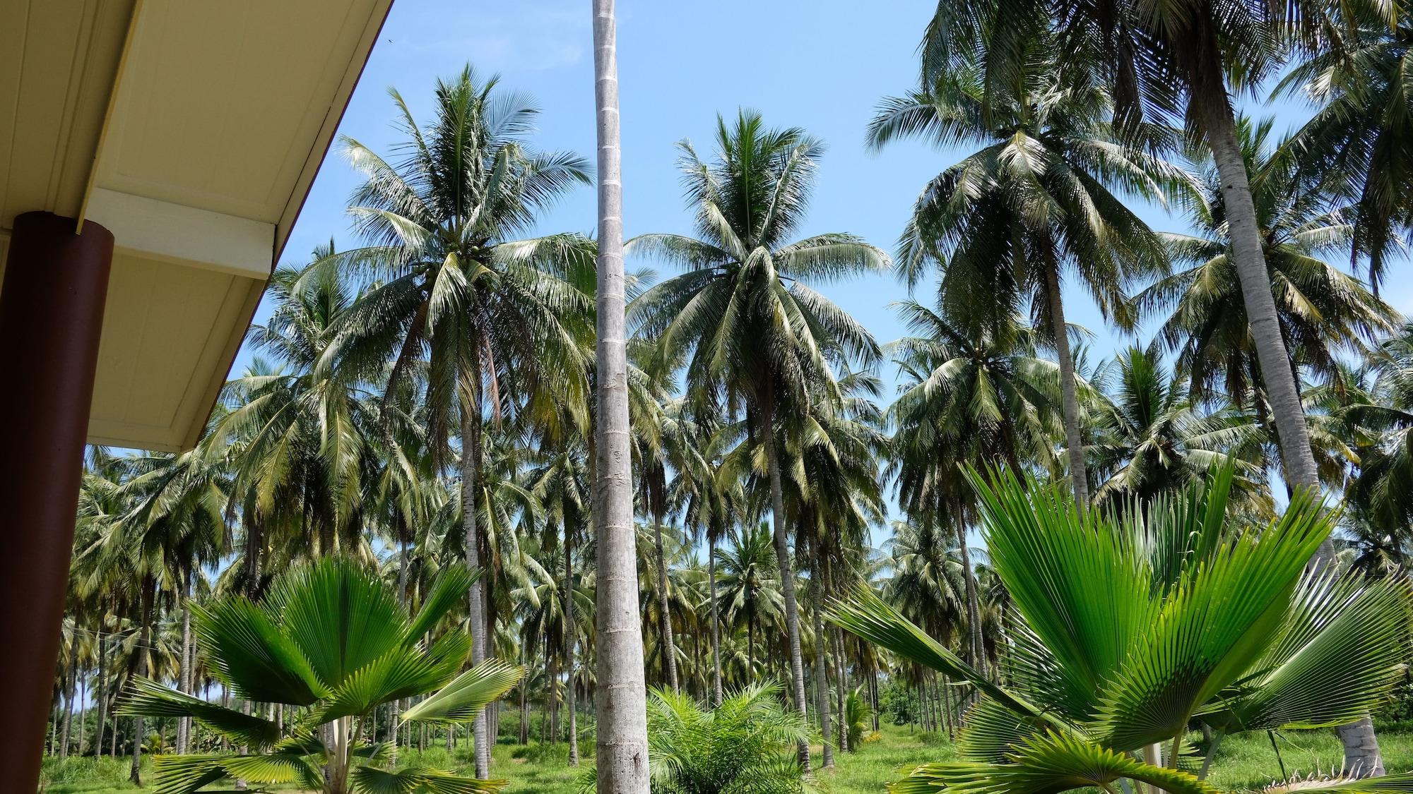 Khao Lak Golden Coconut Hotell Exteriör bild